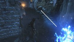 Le chemin des Immortels