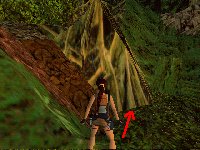 TR3 - La Jungle : Secret 1 TR3 - La Jungle : Secret 1