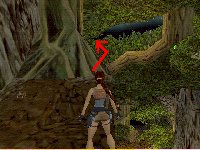 TR3 - La Jungle : Secret 2 TR3 - La Jungle : Secret 2