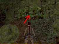 TR3 - La Jungle : Secret 6 TR3 - La Jungle : Secret 6