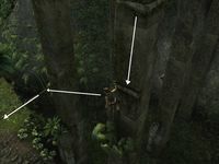 Tomb Raider Underworld : la démo Tomb Raider Underworld : la démo