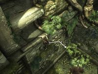Tomb Raider Underworld : la démo Tomb Raider Underworld : la démo