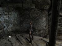Tomb Raider Underworld : Protégé par les morts Tomb Raider Underworld : Protégé par les morts