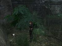 Tomb Raider Underworld : Xibalba Tomb Raider Underworld : Xibalba