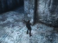 Tomb Raider Underworld : Valhalla Tomb Raider Underworld : Valhalla