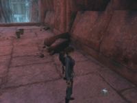 Tomb Raider Underworld : Yggdrasil Tomb Raider Underworld : Yggdrasil