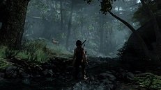 Forêt littorale (1)